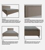Natalia Upholstered Queen Size Bed In Beige Colour