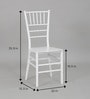 National Plastic Plastic Chair in DWT Colour , (Set Of 2)