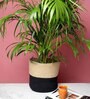 (1Pc) Black & Beige Jute Handwoven Multipurpose Planter & Storage Basket