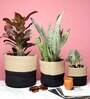Set Of 3 Black & Beige Jute Handwoven Multipurpose Planter & Storage Basket