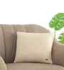Natural 100% Cotton Mini Moss 16X16 Inches Knitted Cushion Cover