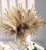 Set Of 100 Brown Metal Boho Pampas Grass Dried Plants
