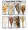 Set Of 100 Brown Metal Boho Pampas Grass Dried Plants