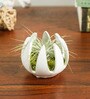 Natural Ceramic Lily Flower Smart Plant