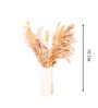 Natural Elegance Dried Flower 5 Pampas and 3 Corn Stems