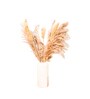 Natural Elegance Dried Flower 5 Pampas and 3 Corn Stems