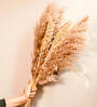 Natural Elegance Dried Flower 5 Pampas and 3 Corn Stems