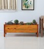 Rectangular Natural Finish Pine Wood Floor Planter