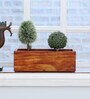 Natural Finish Pine Wood Rectangular Desk Pot