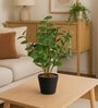 Green Natural-Look Artificial Plant with Black Pot