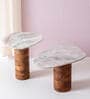 Natural Marble Nest of Table (Set of 2) In White & Brown Colour