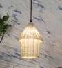 Natural Novelty Hanging Lights With  Plug Type E-14