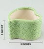 Natural Snake Skin Sanseveria Plant in Green Ceramic Pot
