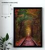 Nature Art Printed Canvas  Wall Art