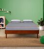 Nature PRO Orthopedic 8 Inches Latex Queen Size Mattress
