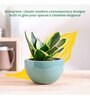 Nature's Hum Fat Extra Small Aqua Ceramic Planter