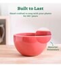 Nature's Hum Fat Extra Small Light Red Ceramic Planter