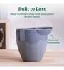 Nature's Hum Slim Extra Small Grey Ceramic Planter