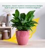 Nature's Hum Slim Extra Small Magenta Ceramic Planter