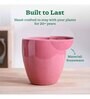 Nature's Hum Slim Extra Small Magenta Ceramic Planter