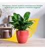 Nature's Hum Slim Extra Small Red Ceramic Planter