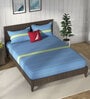 Blue & Green 100% Premium Cotton Striped King Bedsheet With 2 Pillow Covers