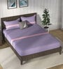 Purple & Pink 100% Premium Cotton Striped King Bedsheet With 2 Pillow Covers