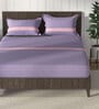 Purple & Pink 100% Premium Cotton Striped King Bedsheet With 2 Pillow Covers