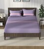 Purple & Pink 100% Premium Cotton Striped King Bedsheet With 2 Pillow Covers