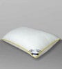 White Bamboo Fiber Filling Anti-Microbial Pillow19x28 Inches