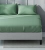 Aqua Green 100% Cotton Solid Super King Size Bedsheet With 2 Pillow Covers