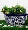 Navy Blue Ceramic Boat Shape with RD Print Big Size Planter