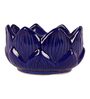 Navy Blue Ceramic Kamal Phool Shape 2 Pc Set Planter
