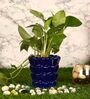 Navy Blue Ceramic Small Khajoor Shape Planter Plain
