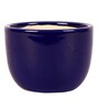 Navy Blue Ceramic Small V Cup Shape Flower Pot