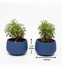 Navy Blue Clay Eco-Friendly Desk Planter (Set Of 2)