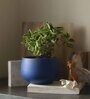 Navy Blue Clay Eco-Friendly Desk Planter (Set Of 2)