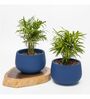 Navy Blue Clay Eco-Friendly Desk Planter (Set Of 2)