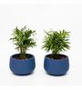 Navy Blue Clay Eco-Friendly Desk Planter (Set Of 2)