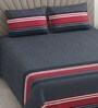 Navy Geometric 400 TC Cotton Superking Size Bedsheet With 2 Pillow Covers Threads Stripes Collection