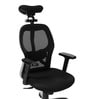 Navya Office Chair with Breathable Mesh and Adjustable Armrests in Black
