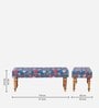 Nawaab Bench In India Paisleys Design Multicolor Colour