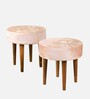 Nayla Stool Set Of 2 In Beige Sparkle Colour