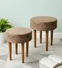 Nayla Stool Set Of 2 In Green Sparkle Colour