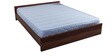 New Spinekare Single 6 inch Mattress