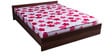 New Super Delux Queen Size 5 inch Coir & Foam Mattress