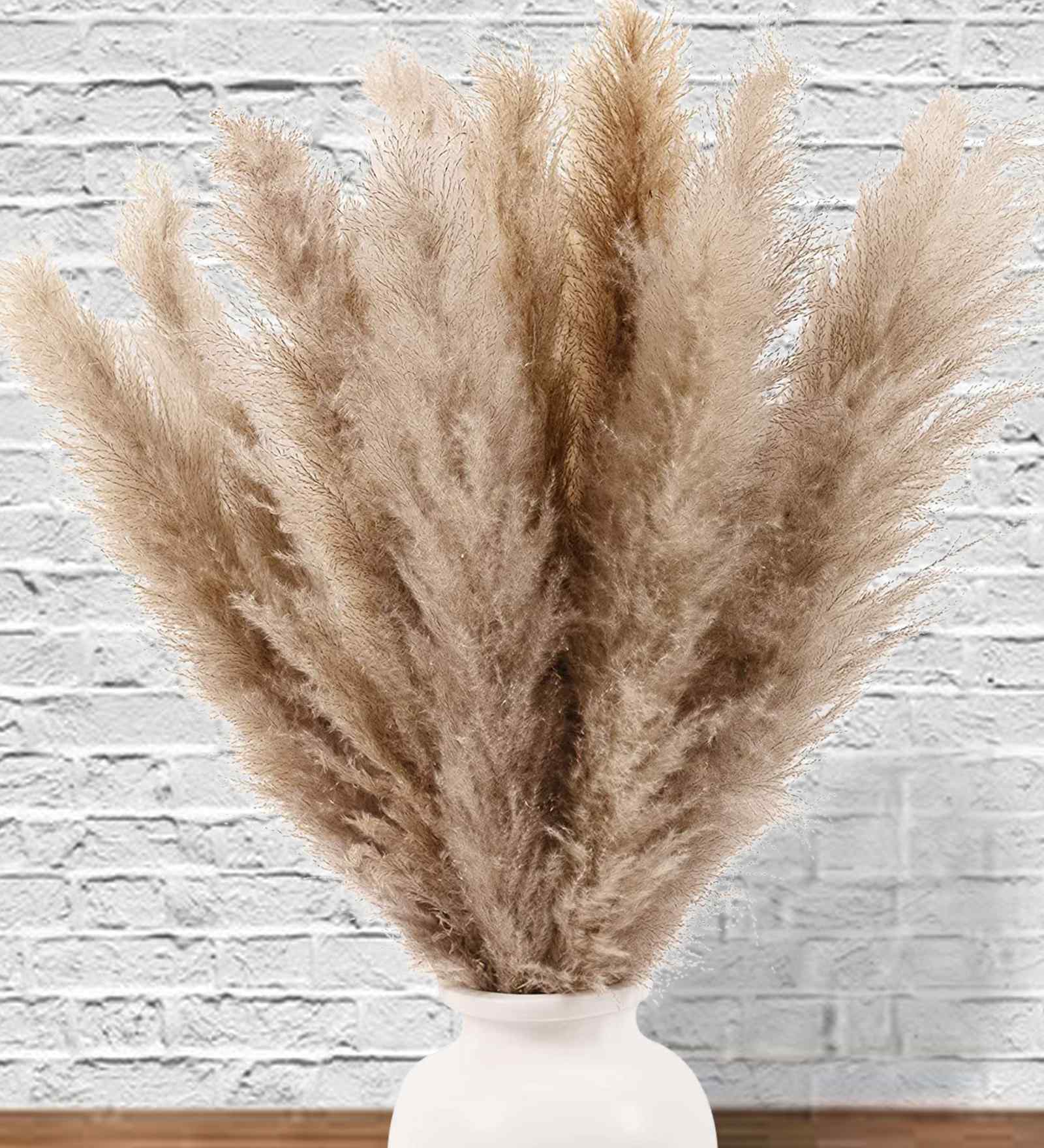Set Of 10 Brown Metal Neutral Fluffy Pampass Dried Plants