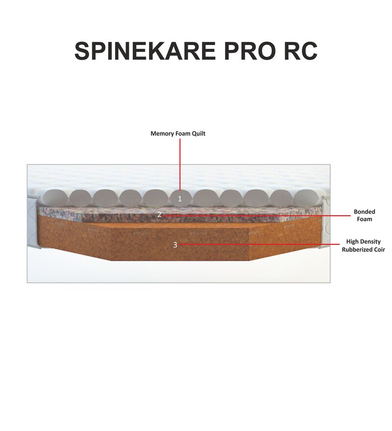 spinekare