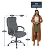 Neal Executive Chair in Grey Colour