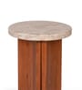 Nell Arch Coffee Table With Beige Panther Marble In Acacia Wood  Finish (Set of 2)